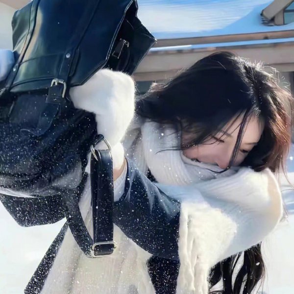 忠奸人